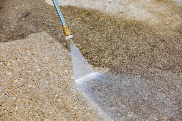 Best Animal Enclosure Cleaning  in Henning, TN