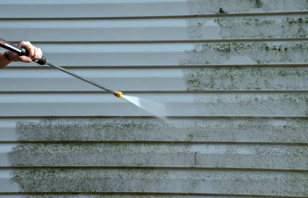 Best Building Exterior Washing  in Henning, TN