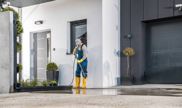 Best Graffiti Removal  in Henning, TN